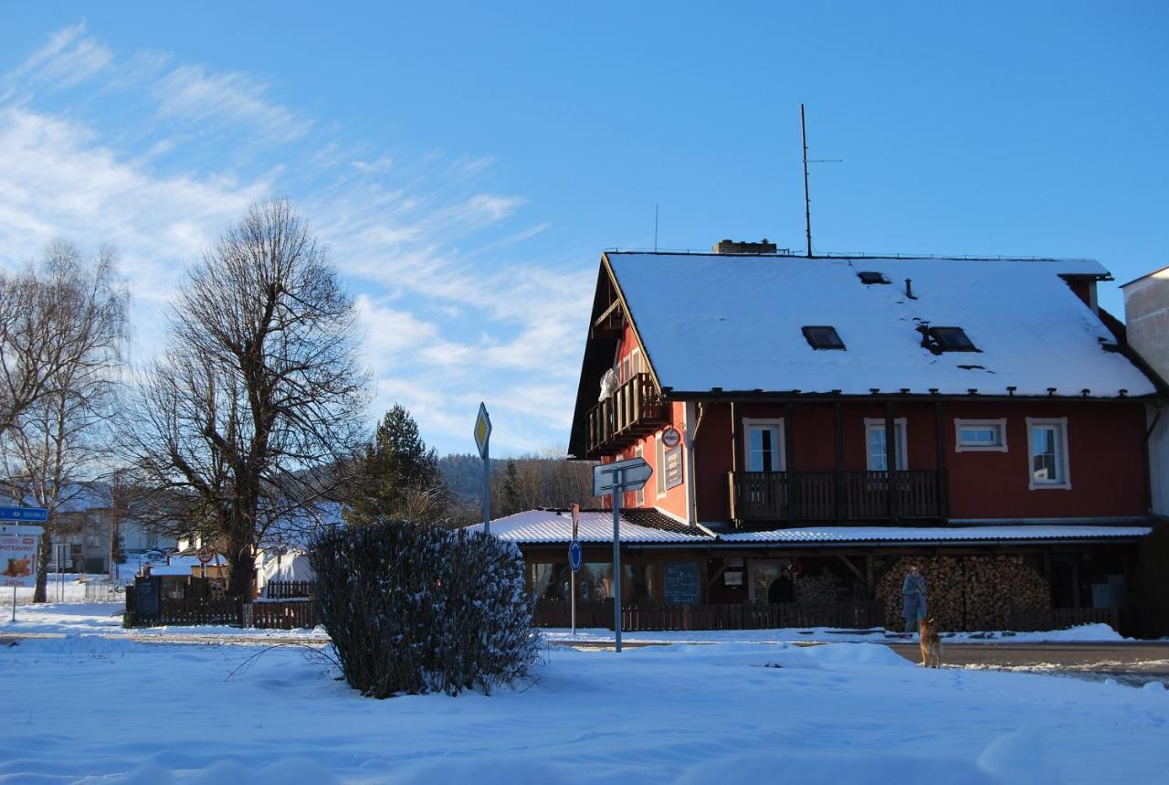 Hotel Penzion Vyton Přední Výtoň Exterior foto